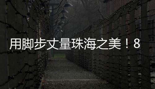 高健大石湾观景台等打卡点