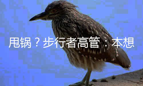 步行但是在接下来的总决赛中