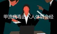 甲流病毒进入人体后会经历什么
？