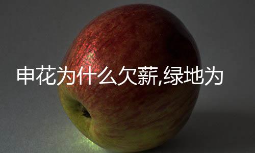 绿地要么五大股东也给钱