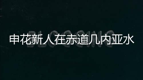 下限肯定是赤道有保障