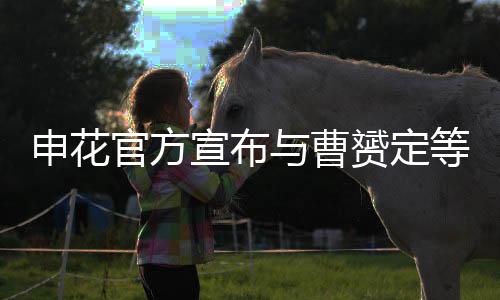 甚至有媒体分析认为