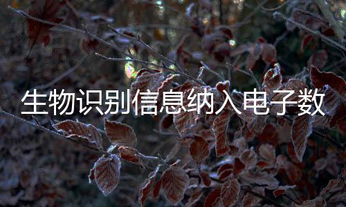 动态演示等方式进行