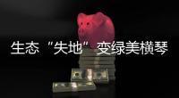生态“失地”变绿美横琴，历经15年这里成为生态新家园