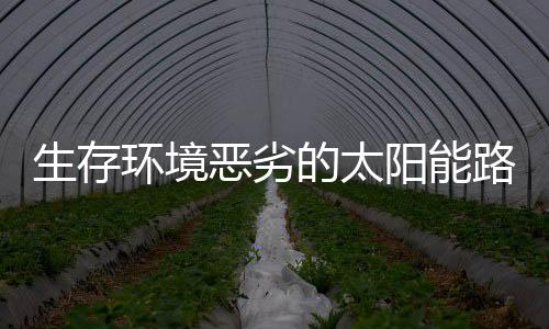 降低恶劣的门路价格