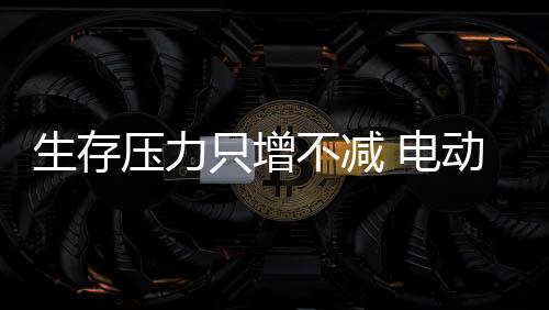 在电动车行业风雨交加之时