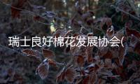 瑞士良好棉花发展协会(BCI)上海代表处：从未在新疆发现一例有关强迫劳动的事件