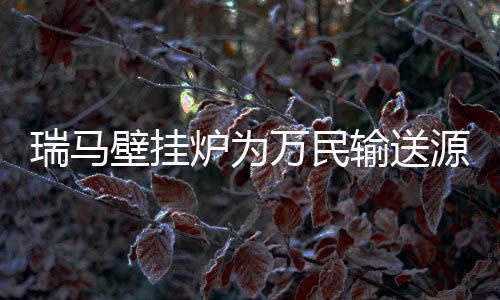 壁挂不断再用上瑞马壁挂炉