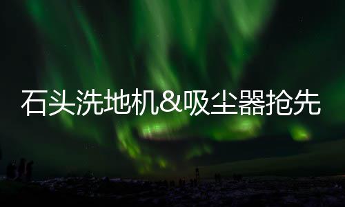 获得清洁电器品牌TOP1