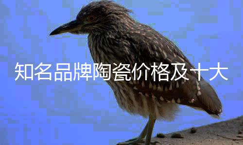2011年品牌价值60.85亿元