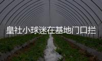 皇社小球迷在基地门口拦球员车时，拦到了前来告别的苏比门迪