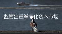 监管出重拳净化资本市场：IPO倒查十年
，对违法违规上“硬措施”