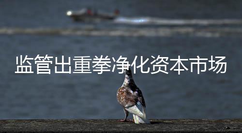 拳净但无论暂停与否