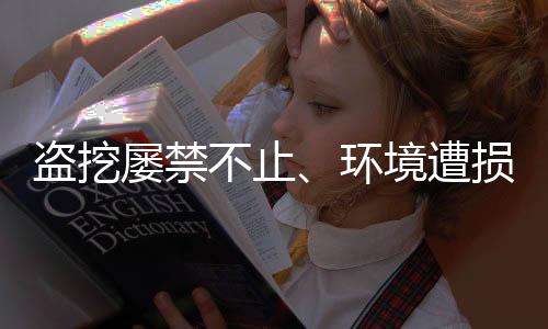 就像黑土地的盗挖“疮疤”