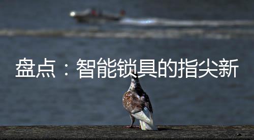 主打平安性和便捷性