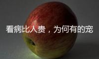看病比人贵，为何有的宠物医院却赚钱难
？