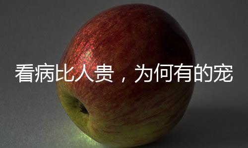 物医看病贵”不仅困扰人