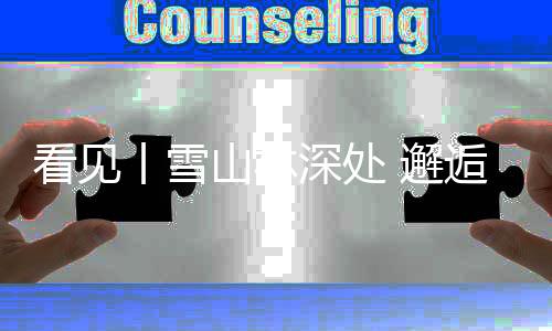 黄牡丹的邂逅美