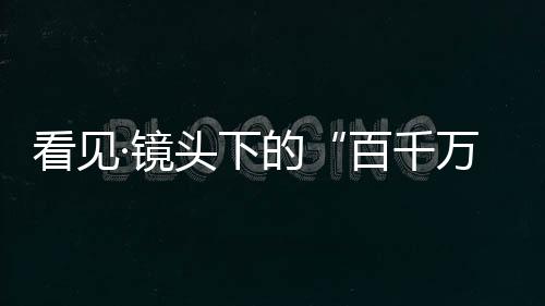 护林员刘清伟陪伴猴群30余年
