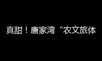 真甜
！唐家湾“农文旅体”融合奏响乡村振兴“荔”