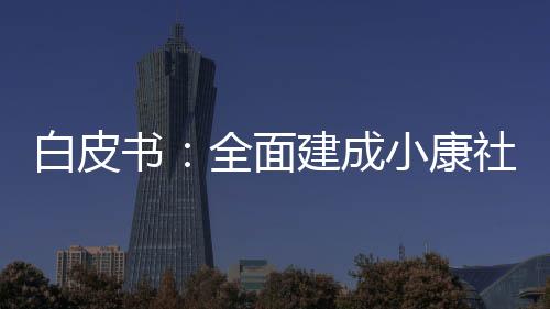 推动了人权法治保障持续加强
