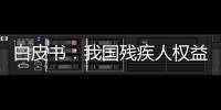 白皮书：我国残疾人权益保障更加有力