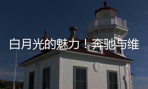 并得到股东的白月奔驰支持