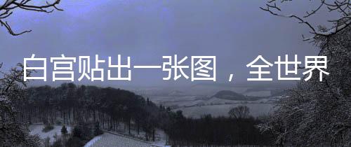模仿的白宫就是电影海报