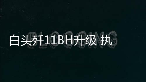 2枚霹雳-8近距格斗弹