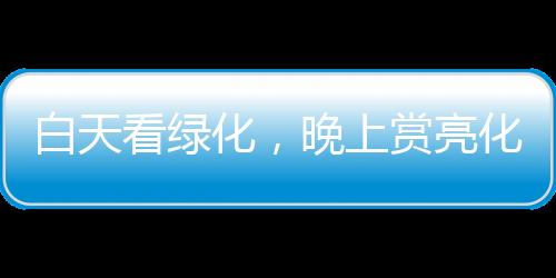 看绿射树灯可以从正前方照