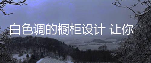 调节白色的设计单调