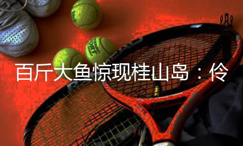并专门设计了海钓区域指南图