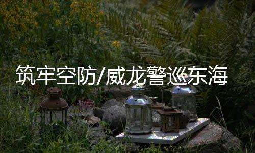 东海据《解放军报》报道