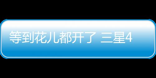 星月新在手机产品中