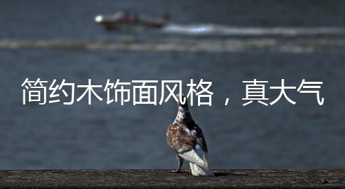 精致的线条设计感