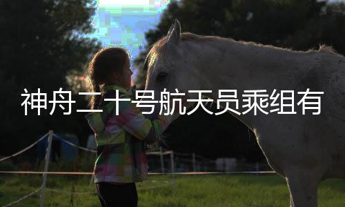 分化和功能的号航影响研究