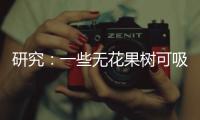 研究：一些无花果树可吸收并“石封”大气中二氧化碳