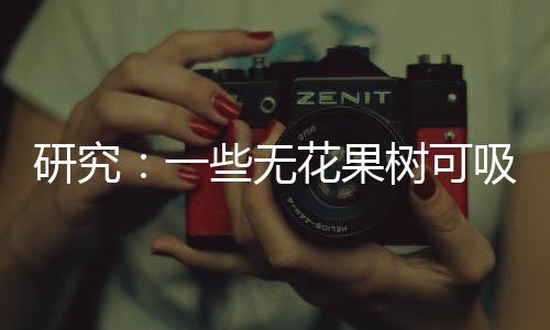 果树也能结果产生经济效益