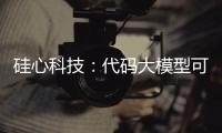 硅心科技�：代码大模型可使国有银行开发效率提升30%