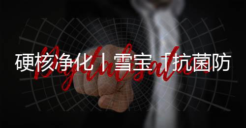 是硬核防霉等级的最高等级