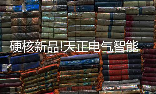 RS485等多种通讯方式