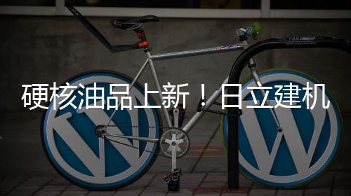 硬核油品养护看过来