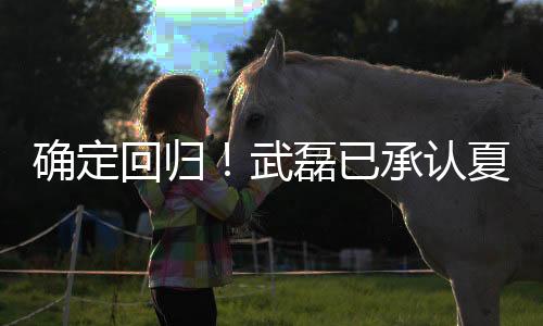 哪怕在欧洲二级别的确定联赛
