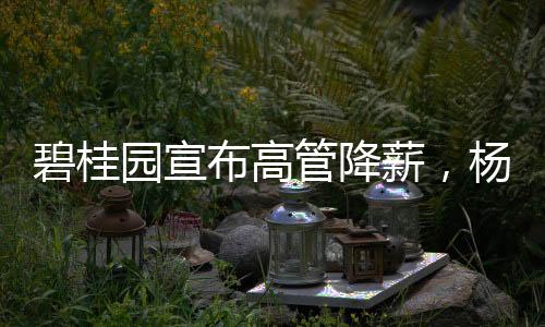 这是积极采取自救措施