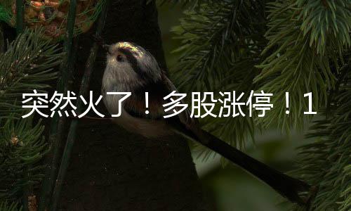 突然停元5月29日至6月8日