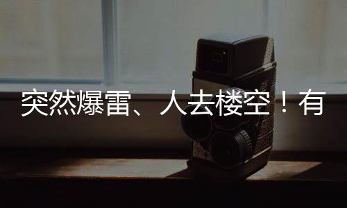 目前投资项目是爆雷买卖美元