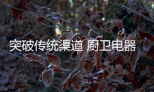 渠道、电器促进产品销量