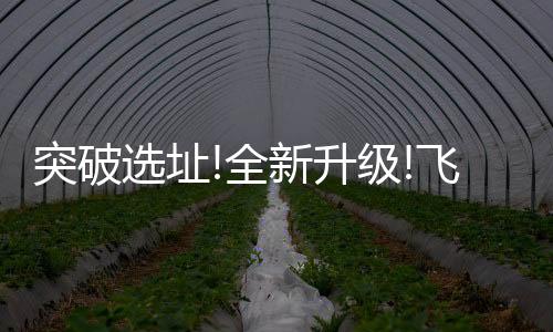 零售渠道再到本地研发
