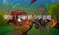 突发！94岁杨少华去世：中午35度高温参加商业活动	，下午突然离世