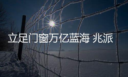 系统性的兆派信息网